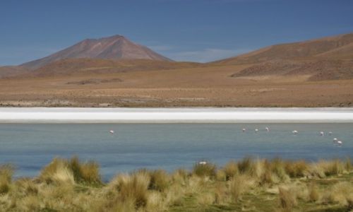 Zdjecie BOLIWIA / Potosi / Altiplano / Kolory Altiplano