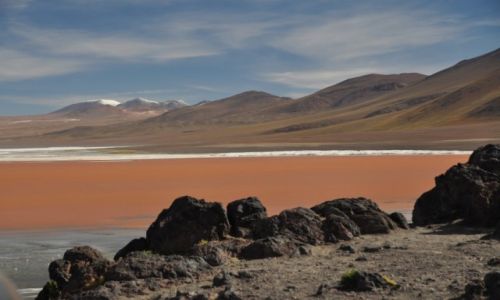 Zdjecie BOLIWIA / Aliplano / Laguna Colorado / Mars na Ziemi II
