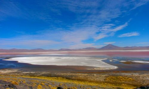 Zdjecie BOLIWIA / Salar Uyuni / Laguna Colorada / Czerwono mi