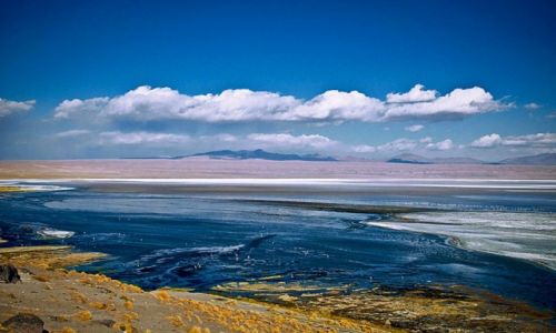 Zdjecie BOLIWIA / - / Altiplano, Laguna Colorada / kolory Boliwii