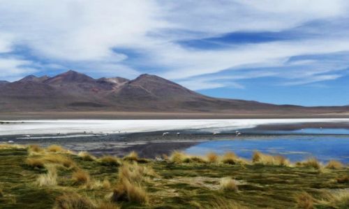 Zdjcie BOLIWIA / Uyuni / Uyuni / solar