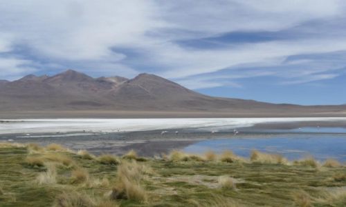 Zdjcie BOLIWIA / solar de uyuni / solar de uyuni / pieknosci