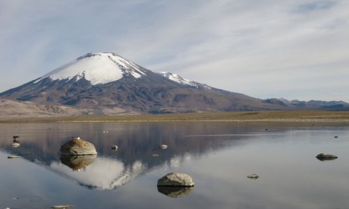 Zdjecie BOLIWIA / Oruro / Paso Chungar-Tambo Quemado / Sajama