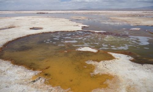 Zdjcie BOLIWIA / Potosi / Salar de Uyuni / Salar (III)
