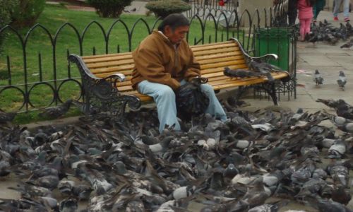 Zdjecie BOLIWIA / La Paz / La Paz / Karmicy gobie