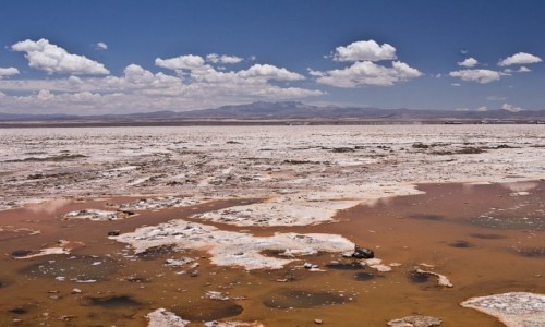 Zdjcie BOLIWIA / Uyuni / Salar de Uyuni / Oczy Salaru