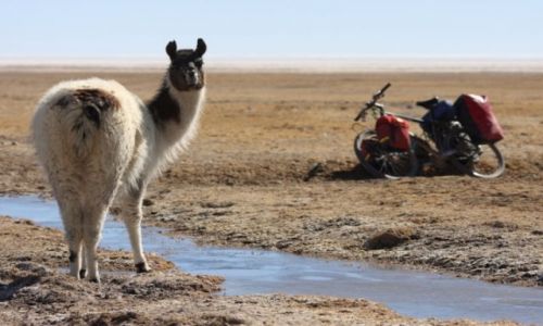 Zdjęcie BOLIWIA / brak / Salar Coipasa / Intruz