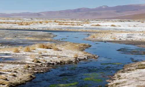 Zdjecie BOLIWIA / brak / Wyyna Altiplano / Altiplano