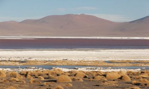 Zdjecie BOLIWIA / brak / Wyyna Altiplano / Laguna Colorada