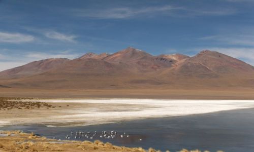 Zdjecie BOLIWIA / brak / Wyyna Altiplano / Altiplano