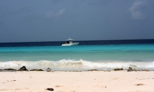 Zdjecie BONAIRE (Holandia) / Kralendijk / Kralendijk / Kite Beach