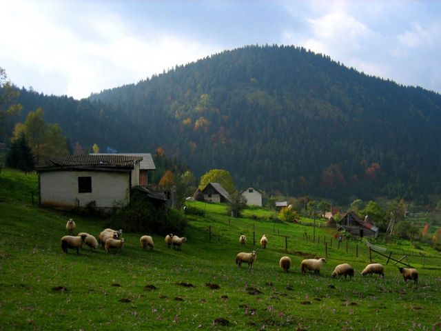 Zdjęcia: Gdzieś z Bośni do Czarnogóry, swojski klimat, BOśNIA i HERCEGOWINA Zdjęcia: Gdzieś z Bośni do Czarnogóry, swojski klimat, BOśNIA i HERCEGOWINA