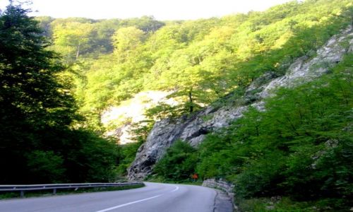 Zdjecie BONIA i HERCEGOWINA / Bonia / W drodze do Sarajewa / W drodze