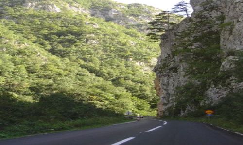 Zdjecie BONIA i HERCEGOWINA / Bonia / W drodze do Sarajewa / Droga