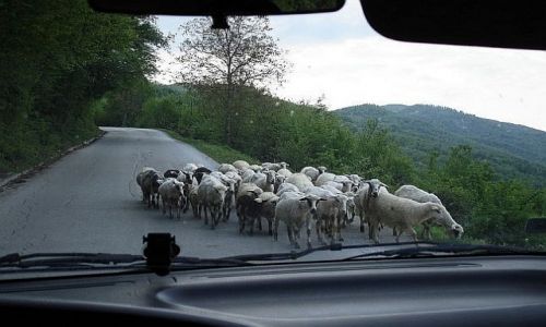 Zdjecie BONIA i HERCEGOWINA / granica boniacka / granica / Welcome to Bosnia