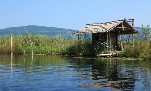 Zdjcie BONIA i HERCEGOWINA / Delta Neretwy  / Hutovo Blato, rezerwat przyrody / Przysta