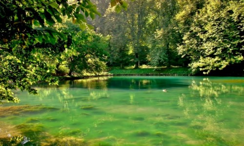 Zdjecie BONIA i HERCEGOWINA / centralna Bonia / Ilida,Sarajewo / Vrelo Bosne-park miejski