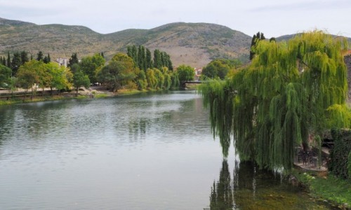 Zdjecie BONIA i HERCEGOWINA / Republika Serbska / Trebinje / wierzby nad Trebisnjic...