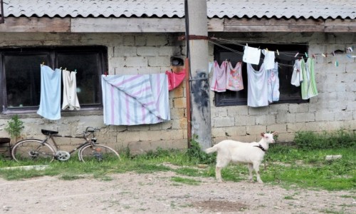 Zdjcie BONIA i HERCEGOWINA / - / Livno / przed chatk...