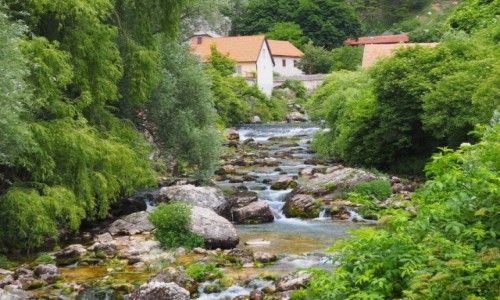 Zdjcie BONIA i HERCEGOWINA / - / Livno / ukryte w zieleni...