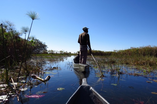Zdj cia: Guma Lagoon, Delta Okawano, odzie mokoro, BOTSWANA