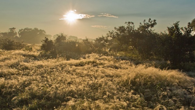 Zdj cia: Savute, Okavango Delta, wit w Savute, BOTSWANA