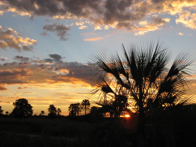 Zdjęcia: Audi Camp, Okawango, Pod niebem pełnym cudów...., BOTSWANA Zdjęcia: Audi Camp, Okawango, Pod niebem pełnym cudów...., BOTSWANA