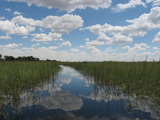 Zdjęcia: delta Okawango, Okawango, droga do nieba, BOTSWANA Zdjęcia: delta Okawango, Okawango, droga do nieba, BOTSWANA
