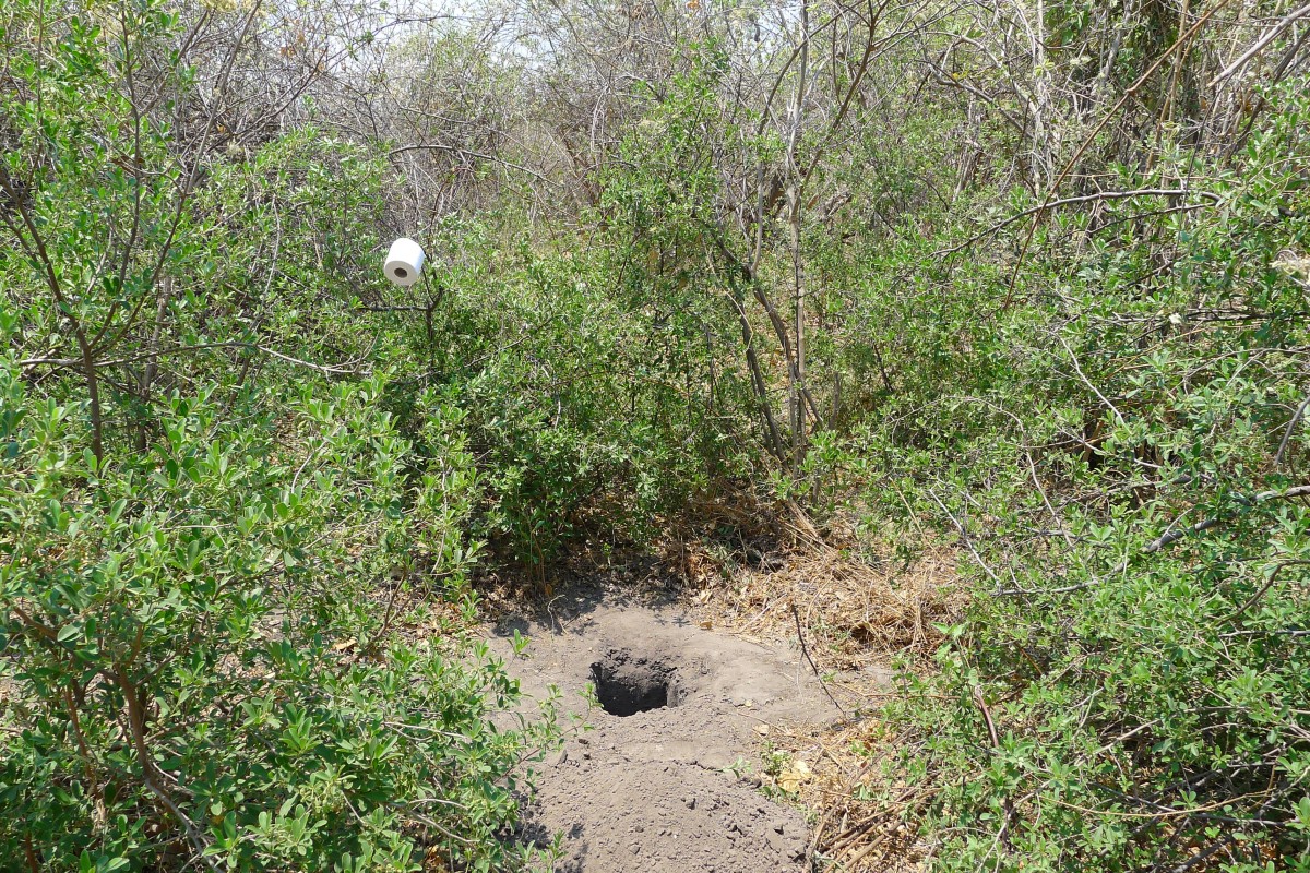 Zdjęcia: Delta Okawango, Północna Botswana , Toaleta na Okawango, BOTSWANA Zdjęcia: Delta Okawango, Północna Botswana , Toaleta na Okawango, BOTSWANA