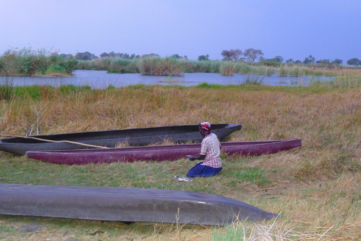 Zdjęcia: Delta Okawango, Północna Botswana , Rybki na kolacje, BOTSWANA Zdjęcia: Delta Okawango, Północna Botswana , Rybki na kolacje, BOTSWANA