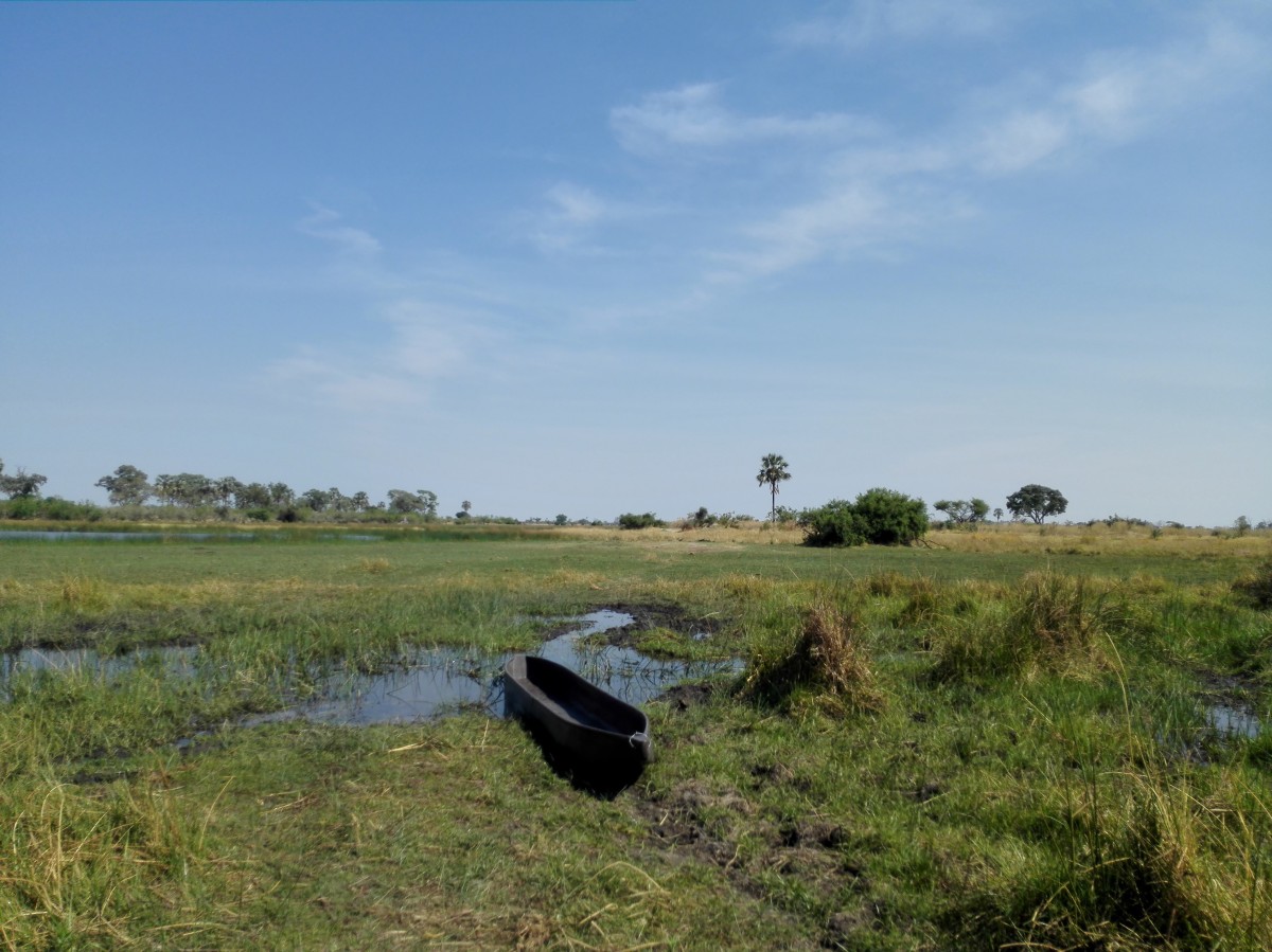 Zdjęcia: Delta Okawango, Północna Botswana , Łódeczka mokoro, BOTSWANA Zdjęcia: Delta Okawango, Północna Botswana , Łódeczka mokoro, BOTSWANA
