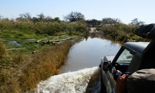 Zdjcie BOTSWANA / Park Moremi / Moremi / Przejazd przez rzek