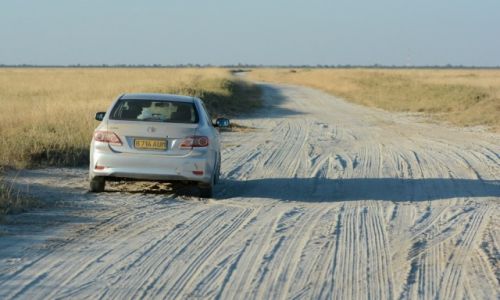 BOTSWANA / - / Rezerwat Ptakw Nata / Droga w Rezerwacie Nata