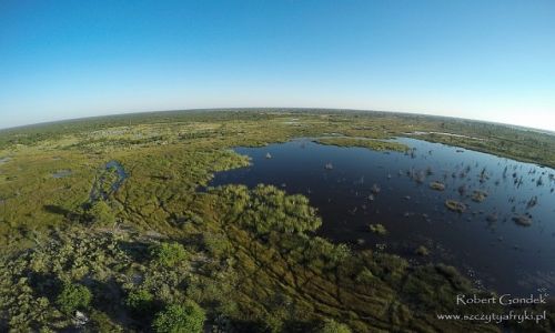 Zdjcie BOTSWANA / Delta Okavango / Delta Okavango / Z gry