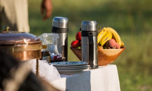Zdjecie BOTSWANA / Okavango Delta / Savute / niadanie w Savute