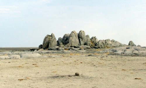 Zdjcie BOTSWANA / Makgadikgadi Pan / Kubu Island / Kubu Island