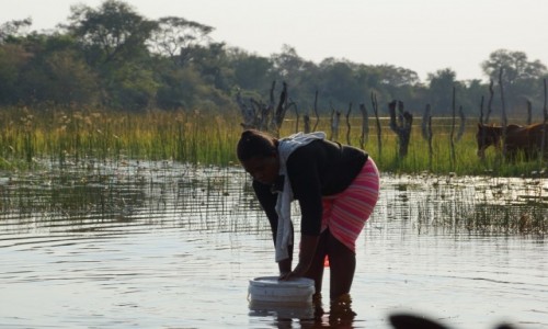 Zdjcie BOTSWANA / - / Delta Okavango / Pracuj :)