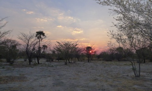 Zdjecie BOTSWANA / Pnocna Botswana  / W drodze na Delte / W buszu wstaje nowy dzie