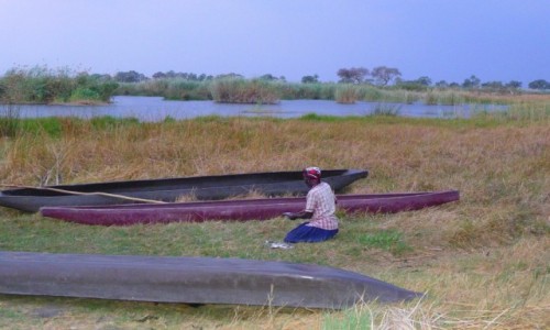 Zdjęcie BOTSWANA / Północna Botswana  / Delta Okawango / Rybki na kolacje