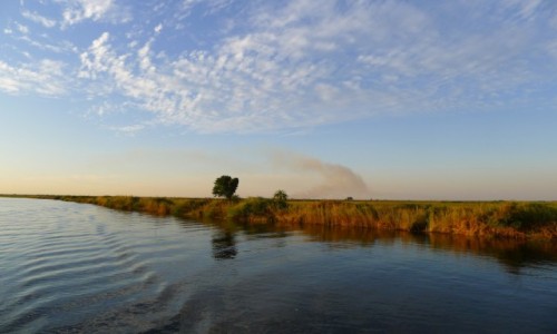 Zdjcie BOTSWANA / Pnocna Botswana  / Park Narodowy Chobe/ na odzi  / Busz gdzie ponie