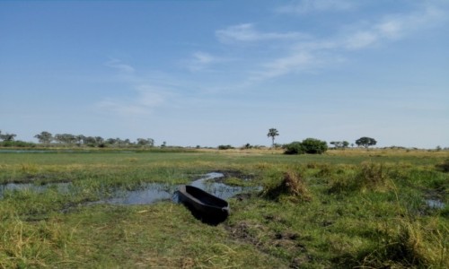 Zdjęcie BOTSWANA / Północna Botswana  / Delta Okawango / Łódeczka mokoro