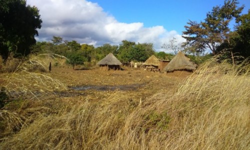 BOTSWANA / - / po drodze / Wioseczka 