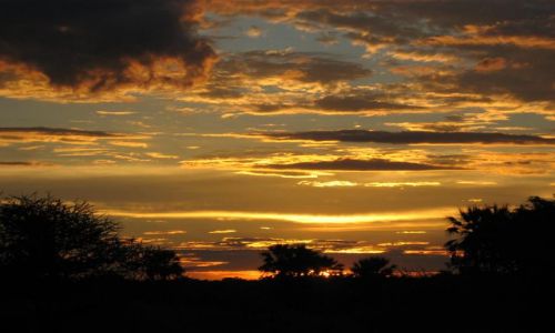 Zdjecie BOTSWANA / Okawango / Audi Camp / afrykański wieczór