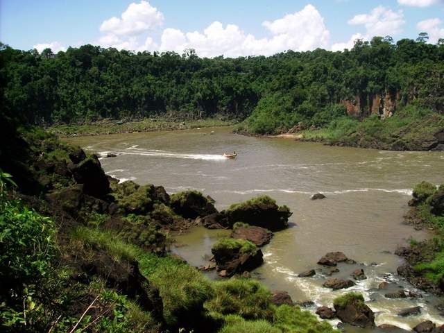 Zdjęcia: foz do iguasu, brazylia, w drodze na wodospady foz do iguasu, BRAZYLIA Zdjęcia: foz do iguasu, brazylia, w drodze na wodospady foz do iguasu, BRAZYLIA