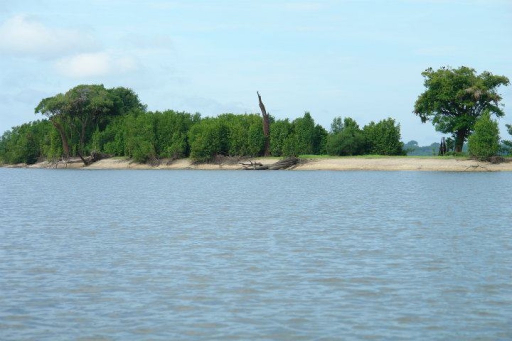Zdjęcia: Manaus, Północ, Amazonka cz.2 :), BRAZYLIA Zdjęcia: Manaus, Północ, Amazonka cz.2 :), BRAZYLIA