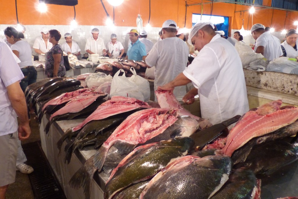Zdjęcia: Manaus, Amazonia, Na targu rybnym w Manaus, BRAZYLIA Zdjęcia: Manaus, Amazonia, Na targu rybnym w Manaus, BRAZYLIA