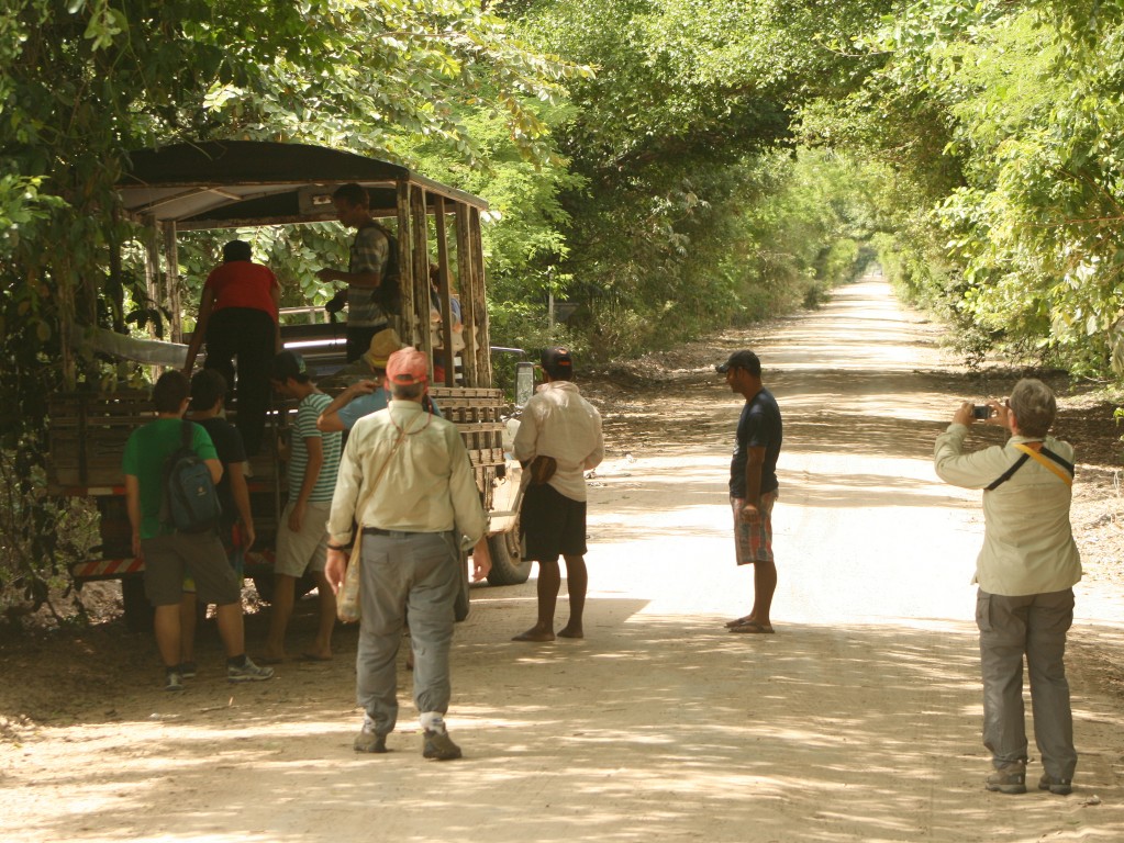 Zdjęcia: Pantanal, Mato Grosso, Brazylia safari, BRAZYLIA Zdjęcia: Pantanal, Mato Grosso, Brazylia safari, BRAZYLIA