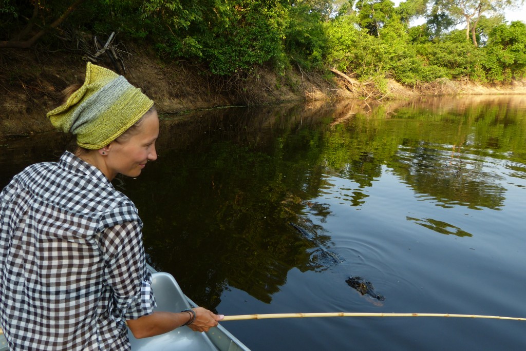 Zdjęcia: Pantanal, Gran Chaco, Na rybkach - Cichy konkurent., BRAZYLIA Zdjęcia: Pantanal, Gran Chaco, Na rybkach - Cichy konkurent., BRAZYLIA
