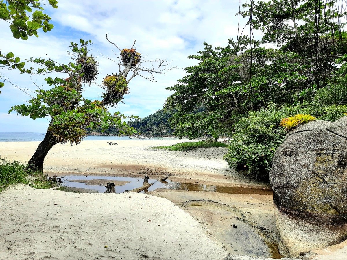 Zdjęcia: Wokół wyspy Ilha Grande, Rio de Janeiro , Plaża prawie dzika, BRAZYLIA Zdjęcia: Wokół wyspy Ilha Grande, Rio de Janeiro , Plaża prawie dzika, BRAZYLIA
