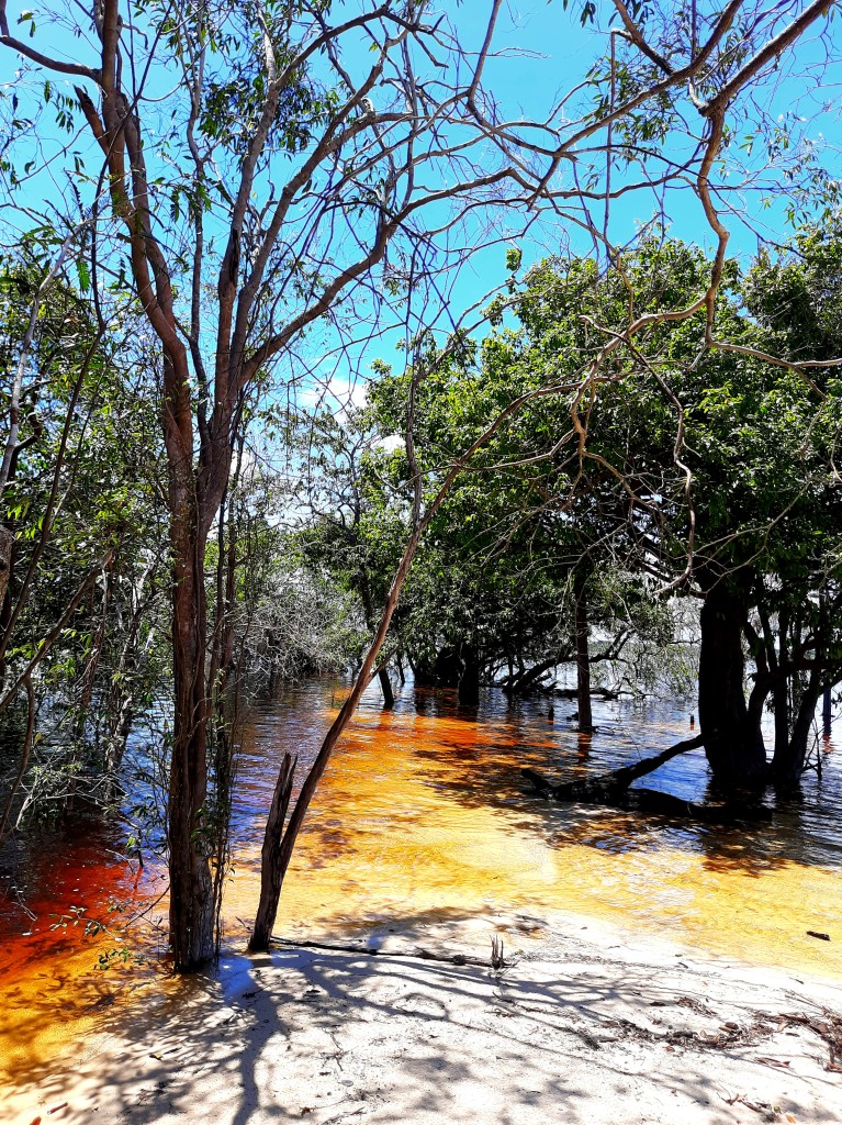 Zdjęcia: ., Archipelag Anavilhanas na Rio Negro, Płonąca plaża, BRAZYLIA Zdjęcia: ., Archipelag Anavilhanas na Rio Negro, Płonąca plaża, BRAZYLIA